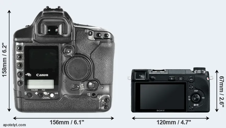 Comparison 1D Mark II or NEX-6 rear
