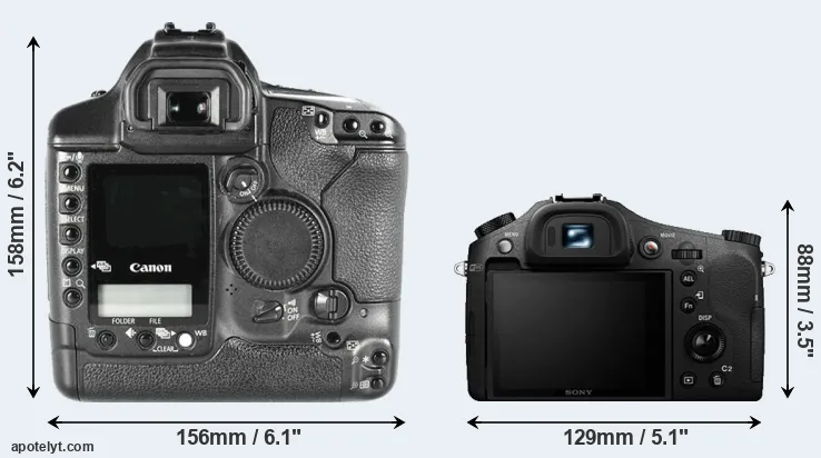 Comparison 1D Mark II or RX10 II rear