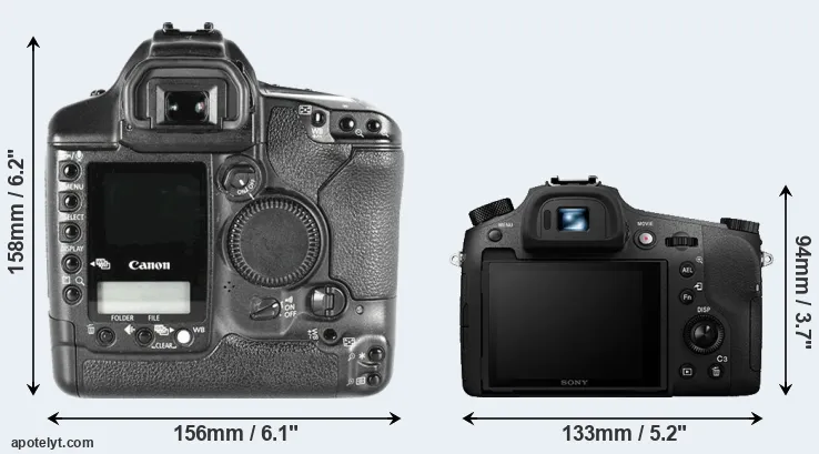 Comparison 1D Mark II or RX10 III rear