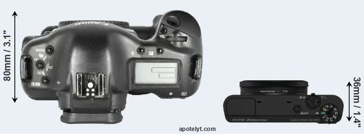 Compare 1D Mark II versus RX100 top