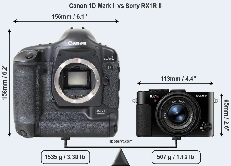 Size Canon 1D Mark II vs Sony RX1R II