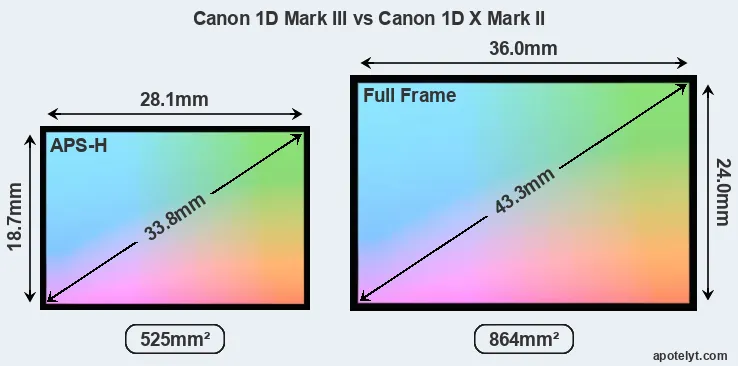 Canon 1D Mark III and Canon 1D X Mark II sensor measures