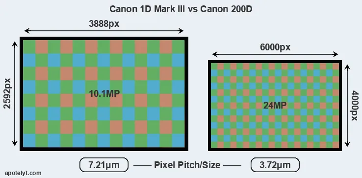 1D Mark III versus 200D MP