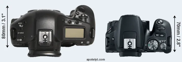 Compare 1D Mark III versus 200D top