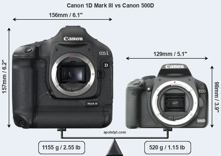 Size Canon 1D Mark III vs Canon 500D