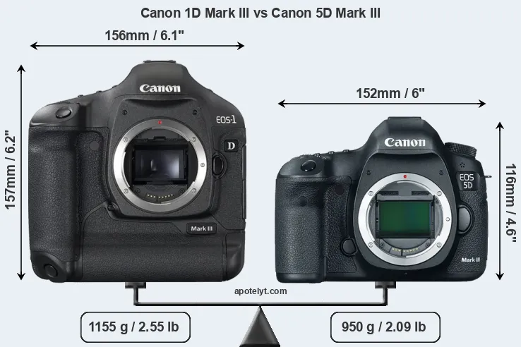 Size Canon 1D Mark III vs Canon 5D Mark III