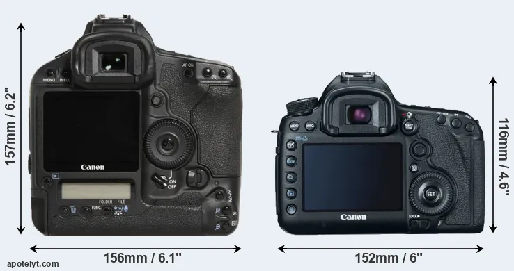 Comparison 1D Mark III or 5D Mark III rear