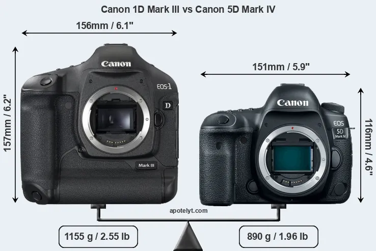 Size Canon 1D Mark III vs Canon 5D Mark IV