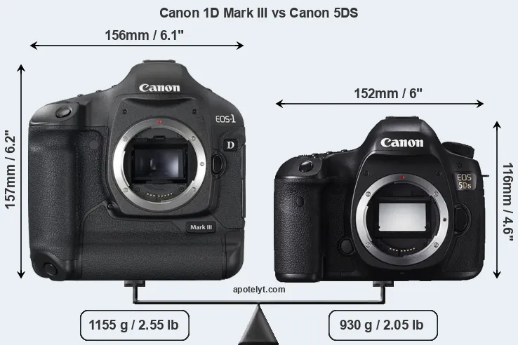 Size Canon 1D Mark III vs Canon 5DS
