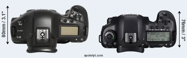 Compare 1D Mark III versus 5DS top