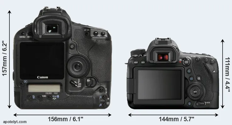 Comparison 1D Mark III or 6D Mark II rear