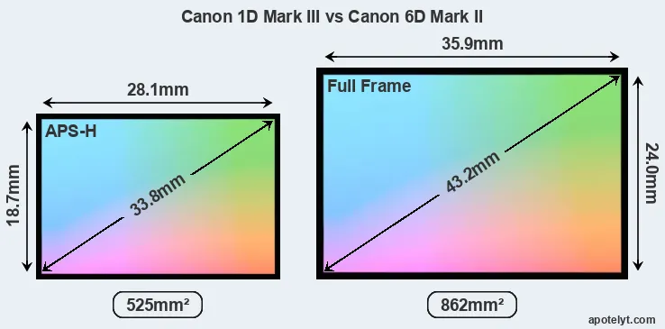 Canon 1D Mark III and Canon 6D Mark II sensor measures