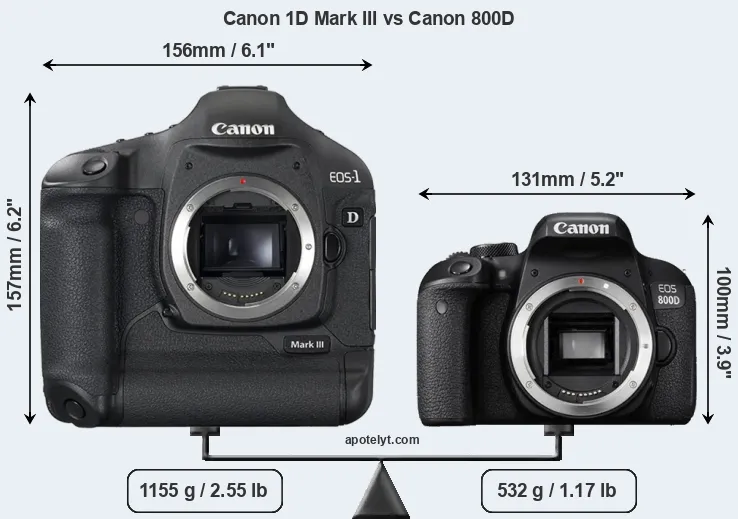 Size Canon 1D Mark III vs Canon 800D