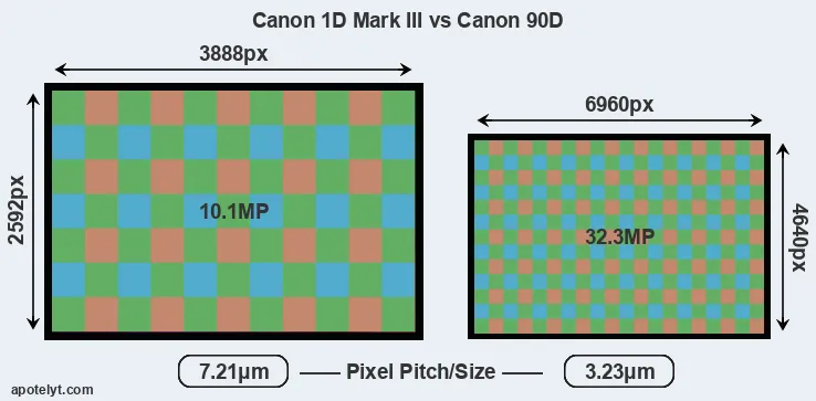 1D Mark III versus 90D MP