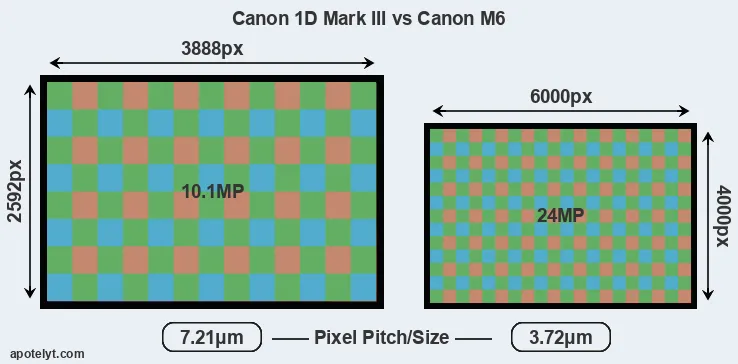 1D Mark III versus M6 MP