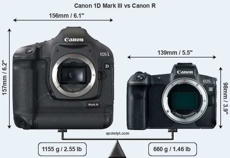 Size Canon 1D Mark III vs Canon R
