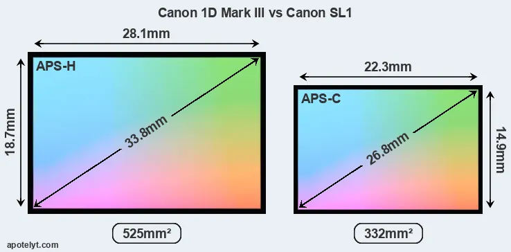 Canon 1D Mark III and Canon SL1 sensor measures