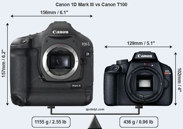 Size Canon 1D Mark III vs Canon T100
