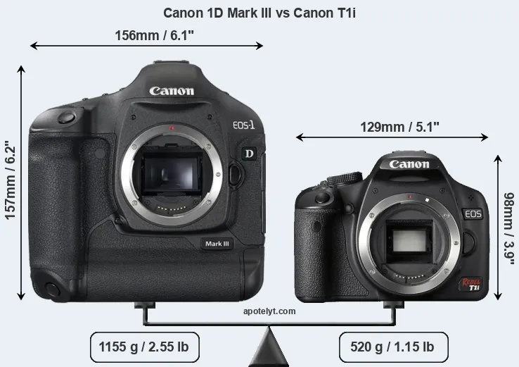 Size Canon 1D Mark III vs Canon T1i