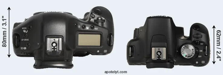 Compare 1D Mark III versus T1i top
