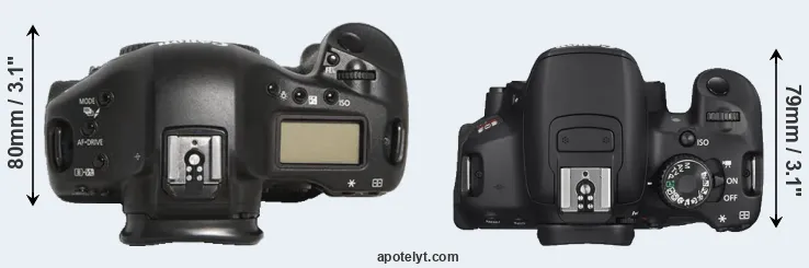 Compare 1D Mark III versus T4i top