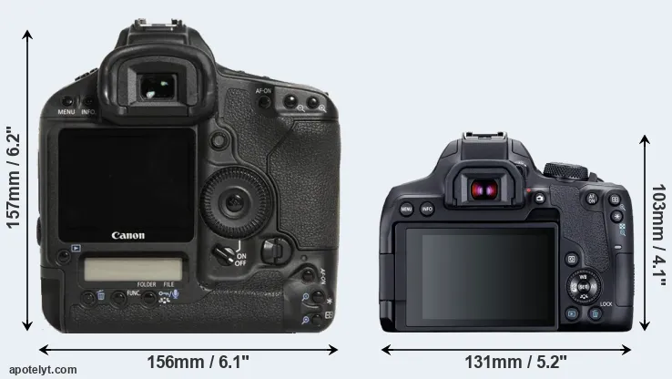 Comparison 1D Mark III or T8i rear