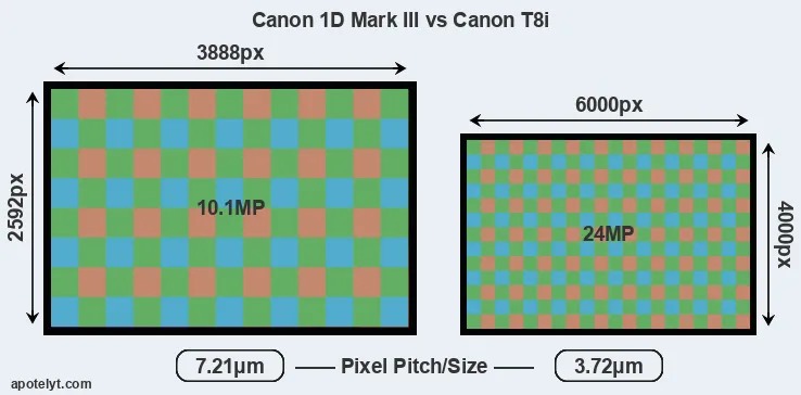 1D Mark III versus T8i MP