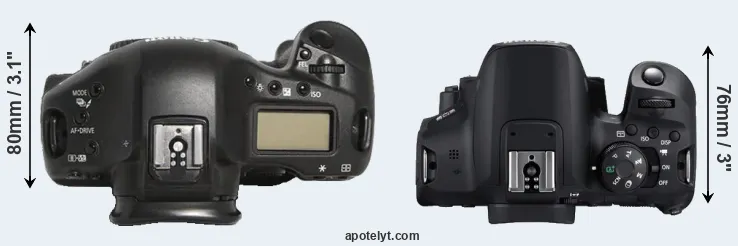 Compare 1D Mark III versus T8i top