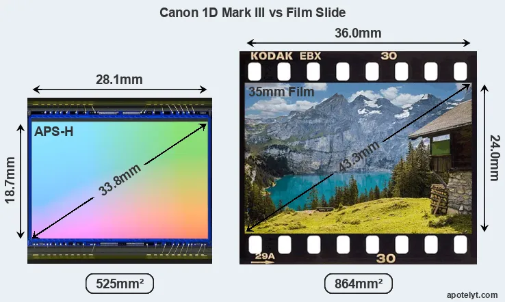 Canon 1D Mark III and Credit Card sensor measures