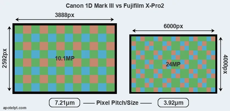 1D Mark III versus X-Pro2 MP