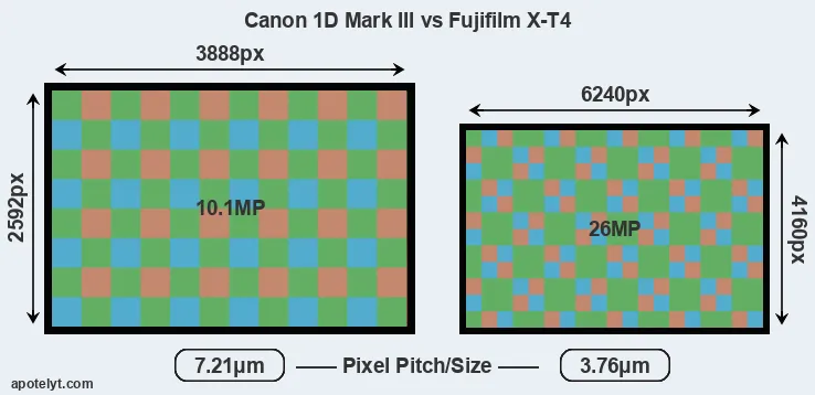 1D Mark III versus X-T4 MP