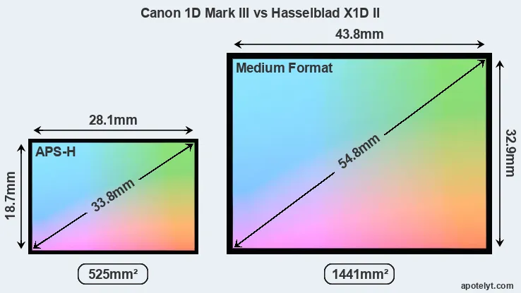 Canon 1D Mark III and Hasselblad X1D II sensor measures