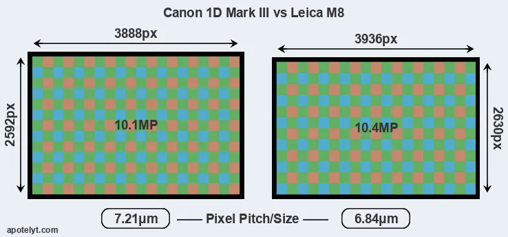 1D Mark III versus M8 MP