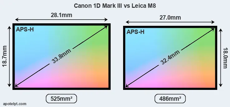 Canon 1D Mark III and Leica M8 sensor measures
