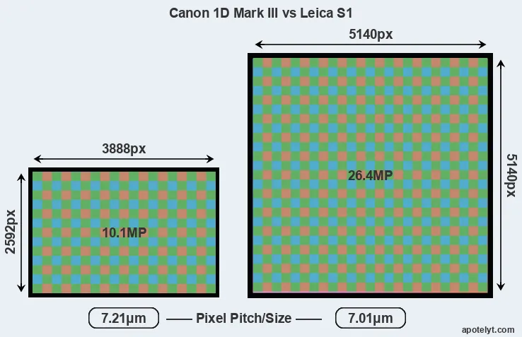 1D Mark III versus S1 MP