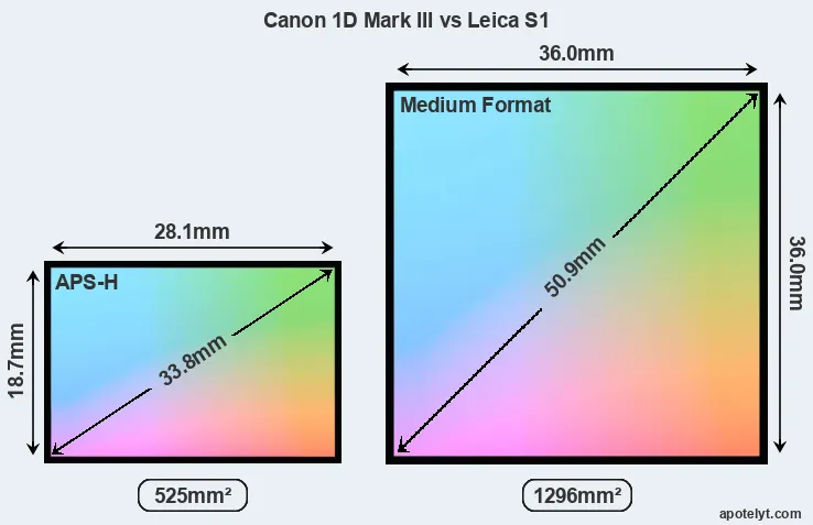 Canon 1D Mark III and Leica S1 sensor measures