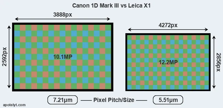 1D Mark III versus X1 MP