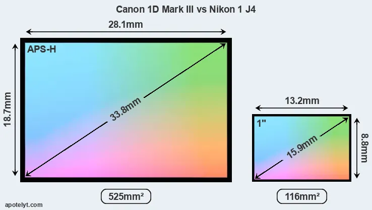 Canon 1D Mark III and Nikon 1 J4 sensor measures