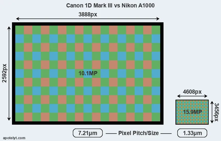 1D Mark III versus A1000 MP