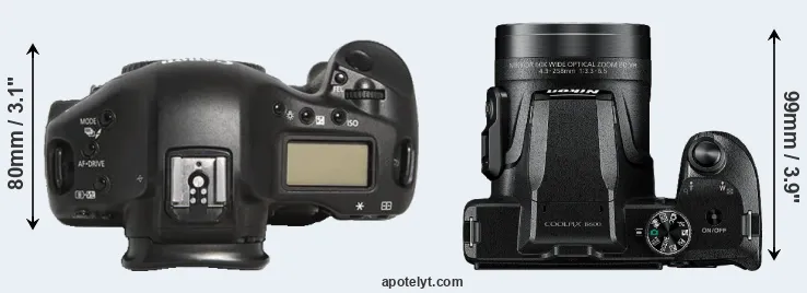 Compare 1D Mark III versus B600 top