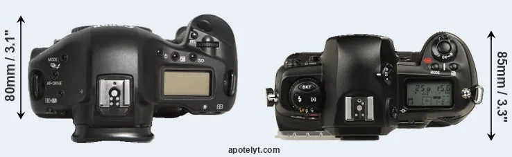 Compare 1D Mark III versus D1 top