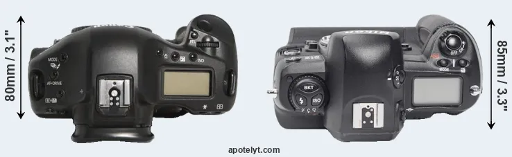Compare 1D Mark III versus D1X top