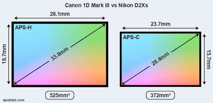 Canon 1D Mark III and Nikon D2Xs sensor measures