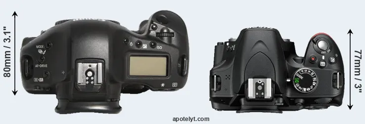 Compare 1D Mark III versus D3200 top