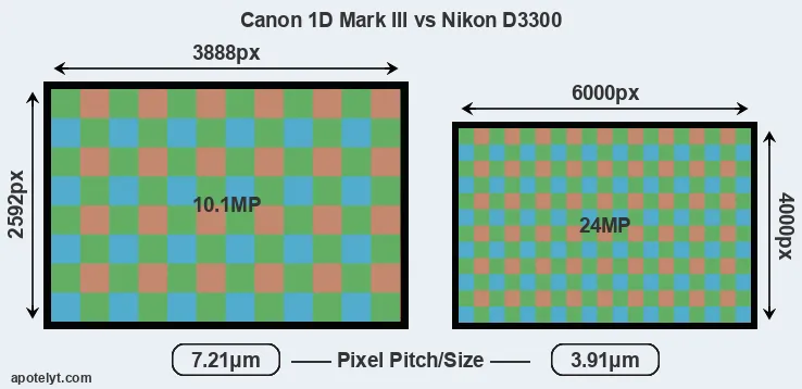 1D Mark III versus D3300 MP