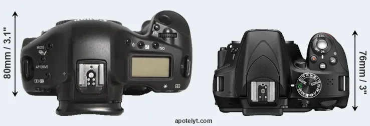 Compare 1D Mark III versus D3300 top