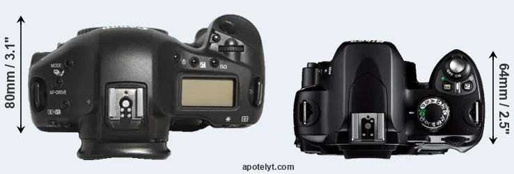 Compare 1D Mark III versus D40 top