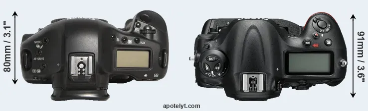 Compare 1D Mark III versus D4S top