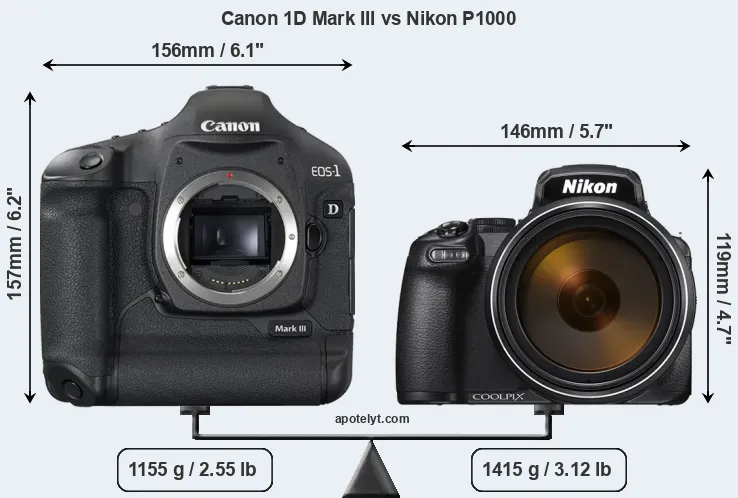 Size Canon 1D Mark III vs Nikon P1000