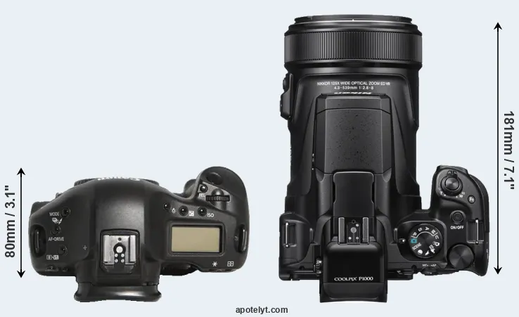 Compare 1D Mark III versus P1000 top